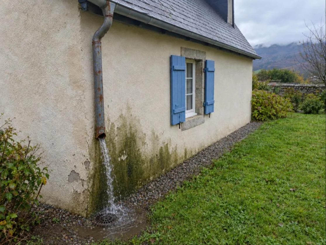 La cause : une descente d'eau percée : avant les travaux